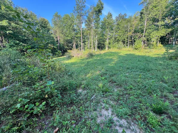 493 Bear Wallow Rd #7, Dunlap, TN 37327