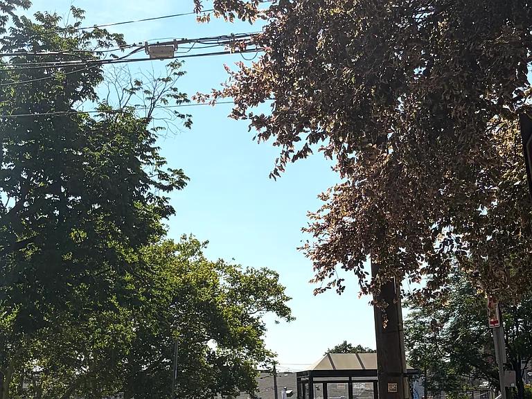17 Hamilton Ave — Photo 10