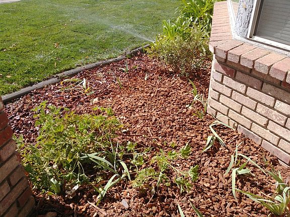 4th image of 3219 Sierra Vista Dr