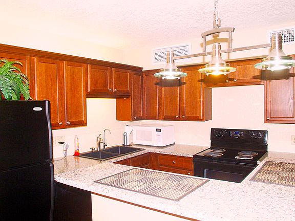 5th image of 351 Lone Hill Dr Unit 203