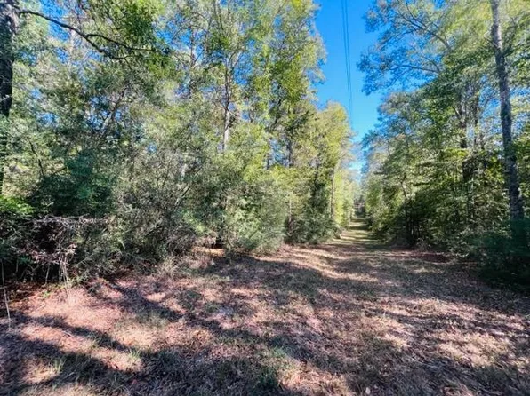 Elmer Howell Rd, Jayess, MS 39641