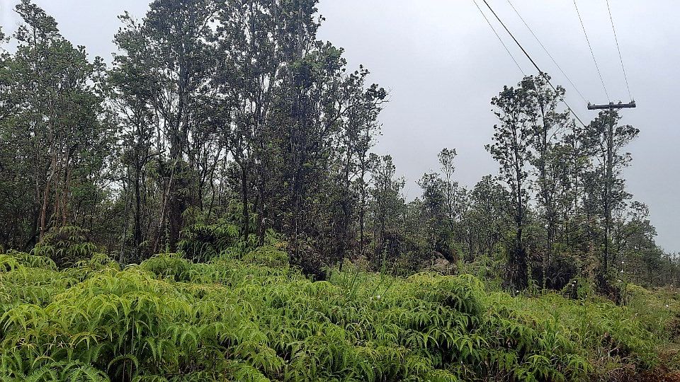 2nd image of Uluhemalu Rd Lot 70
