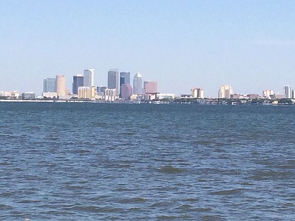 2nd image of 4907 Bayshore Blvd Unit 105