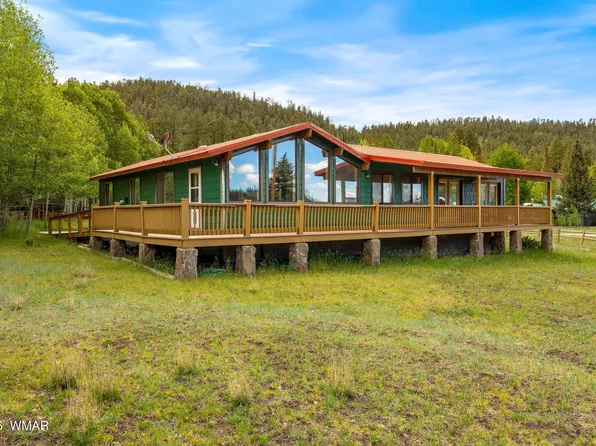 10 Rohrer Cir, Greer, AZ 85927