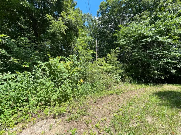 Michael Way, Newport, TN 37821