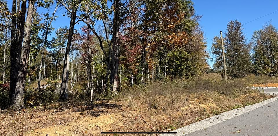 2nd image of 9599 Medlin Rd