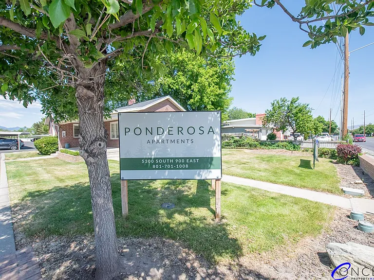 Ponderosa — Photo 71