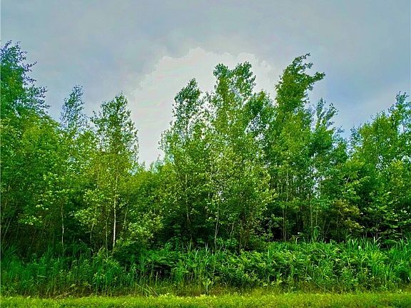 3rd image of LOT 20 Forest Ridge Dr Lot 20