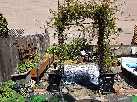 5th image of 81 Albion St #1