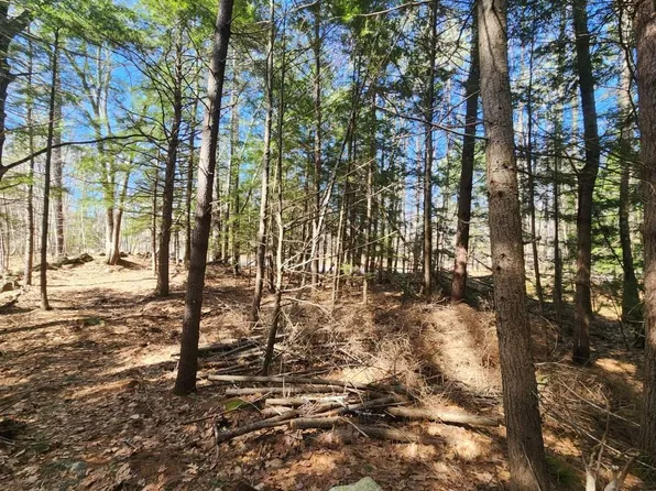 1 West Main Street #233-1, Hillsborough, NH 03244