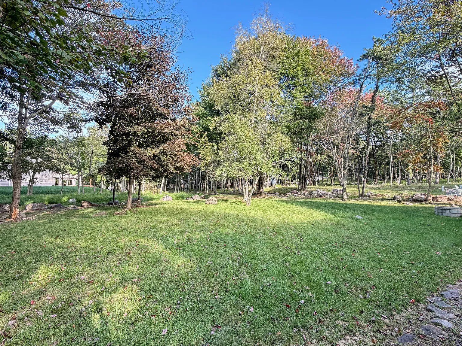 3 bed, 1800 sqft, $2,295 — Photo 4