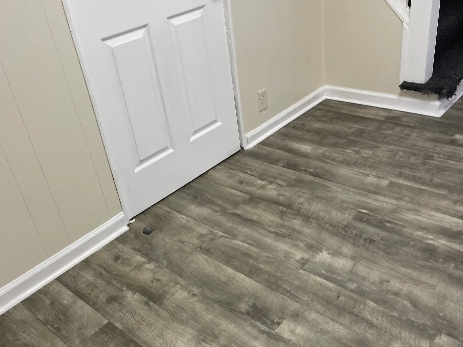 2 bed, $1,000 — Photo 4