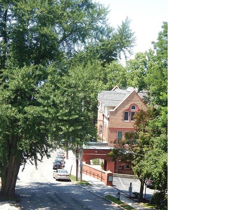 38 Hamilton Street