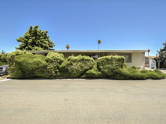 4th image of 519 Olivian Dr