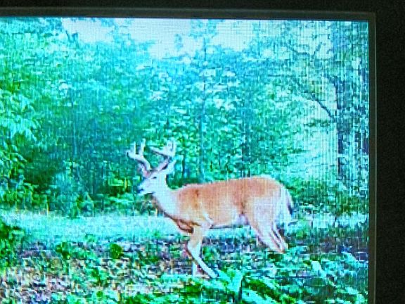 5th image of 13544 Aylsworth Rd