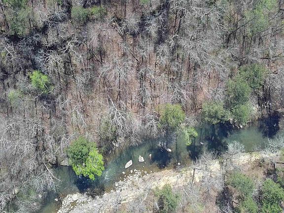 5th image of 1265 Tim King Rd #0