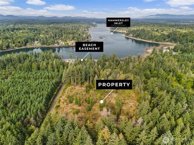 641 E Libby Road, Shelton, WA, 98584