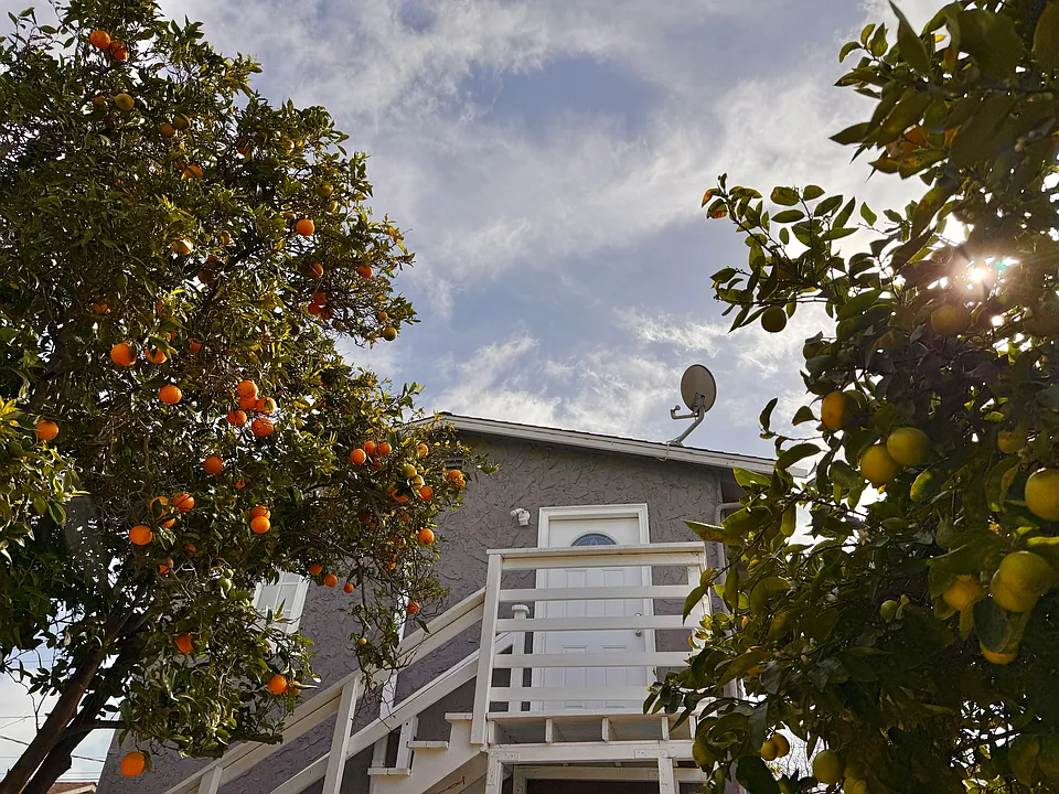 119 Mission Ave