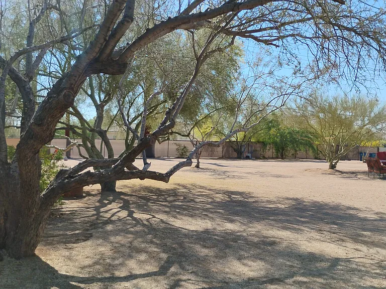 6610 E Dixileta Dr — Photo 16