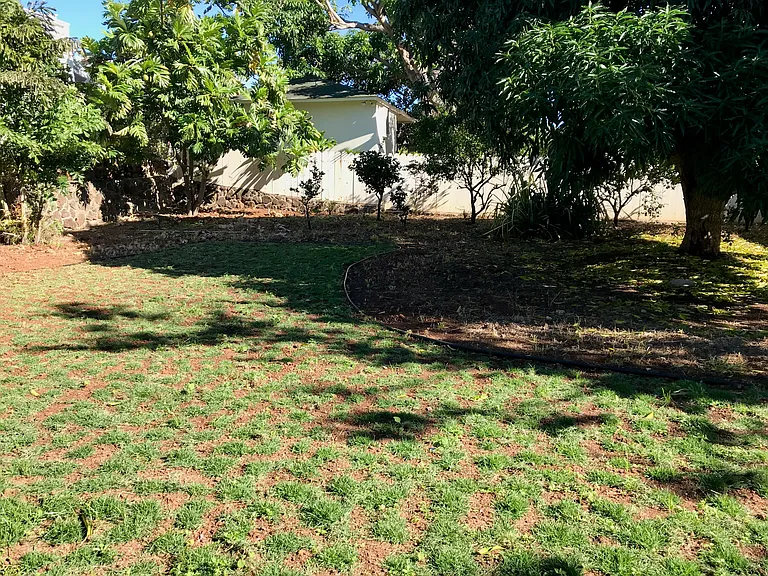 3353 Sierra Dr — Photo 20