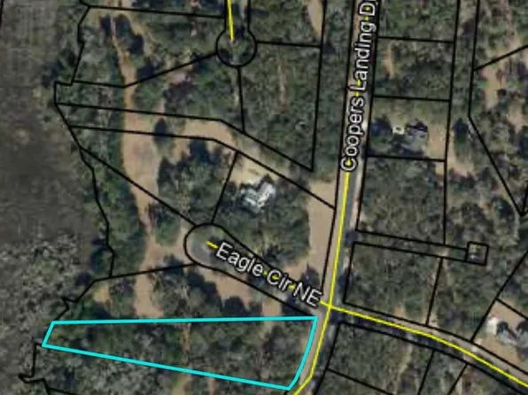 241 Coopers Landing Dr NE, Shellman Bluff, GA 31331