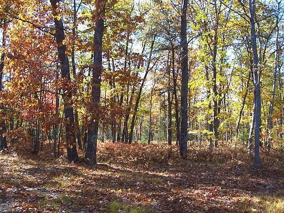 3rd image of 6703 County Road 646