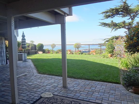 Huge, lush lawn and front patio