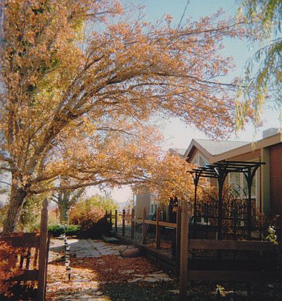 Front side of house, featuring 60' deck and flagstone walkway.