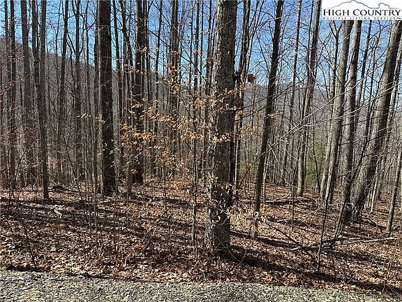 4th image of TBD Woodland Ridge