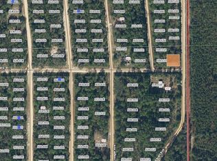 Diane St #14, Interlachen, FL 32148