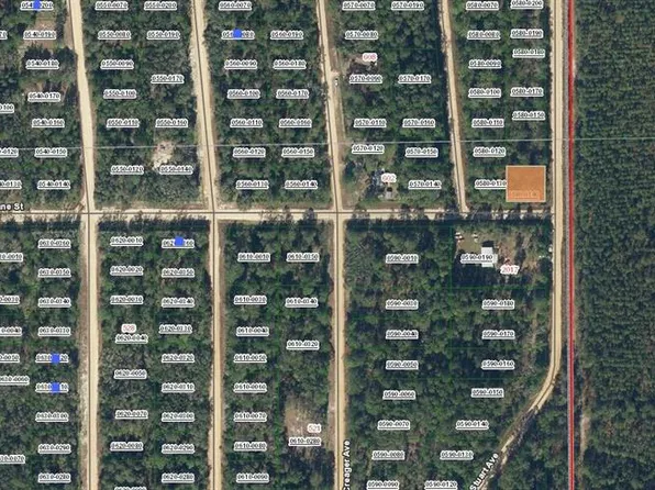 Diane St #14, Interlachen, FL 32148