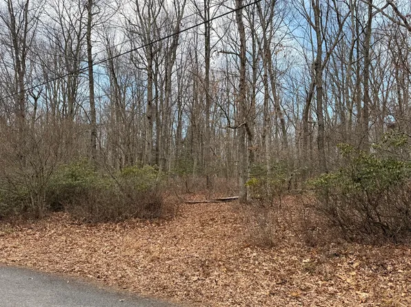 Blackberry Ln, Jim Thorpe, PA 18229