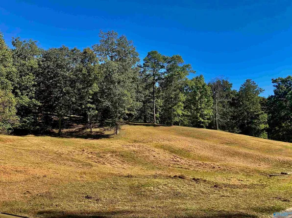 145-147 149 Hillsdale Dr, Gurley, AL 35748
