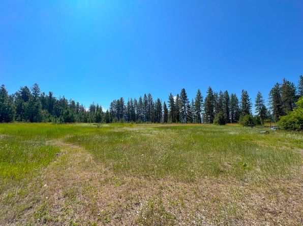 1654 Northport Flat Creek Rd, Kettle Falls, WA 99141