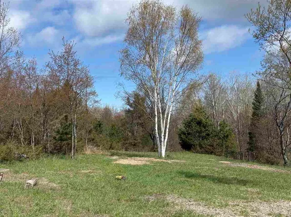 0 Samuel Ln, Charlevoix, MI 49720