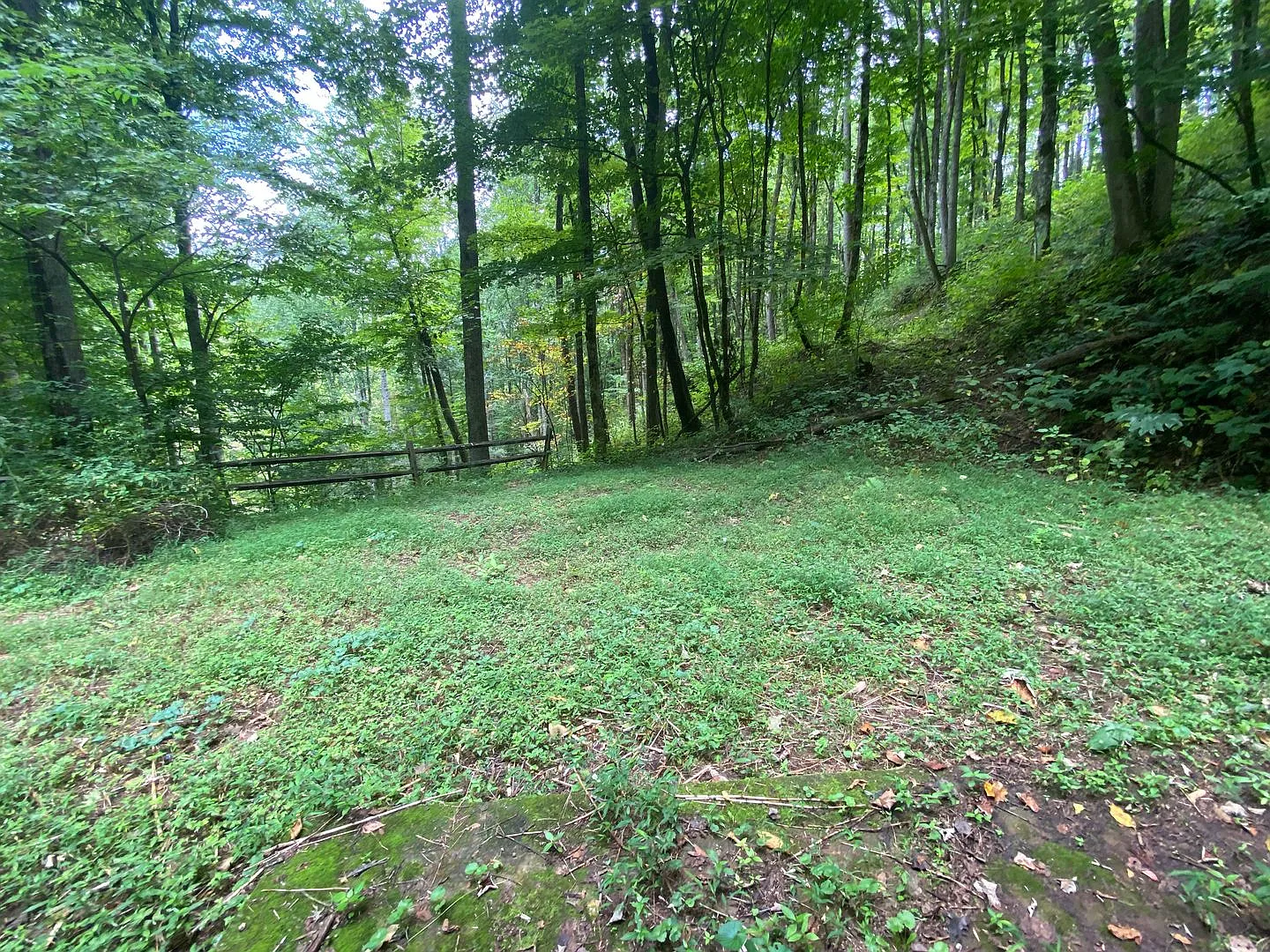 2/1 Home for rent — Photo 4