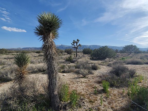 5th image of Antelope Highway & West St #138