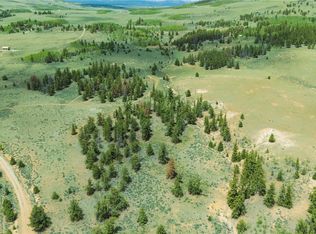 2662 Willow Creek Lane, Fairplay, CO 80440