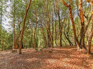 26909 Antelope Dr, Pioneer, CA 95666