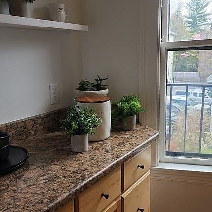 67 Walker #4 Cambridge (Harvard Square) Unit Photo 16