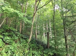 451 McKees Creek Rd, Summersville, WV 26651