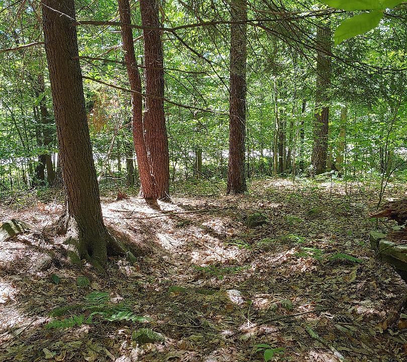 2nd image of Golf Course Rd