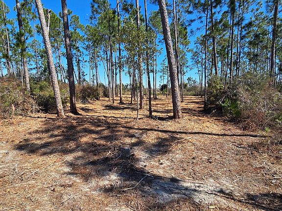 3rd image of LOT 15 Treys Ln