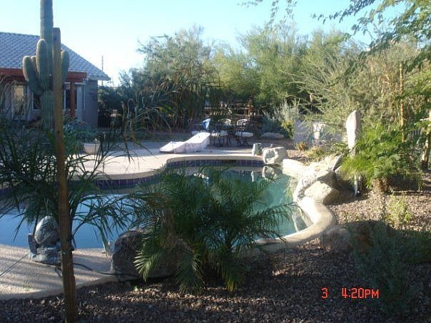 back yard