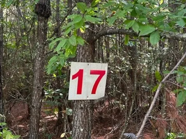 Skyline Rd, Turtletown, TN 37391