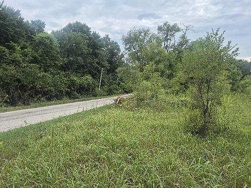 4th image of LOT 1 S Irish Ln