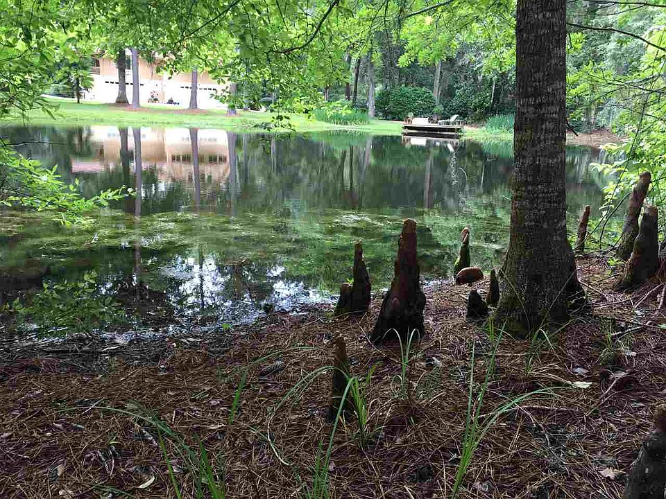1st image of Moorhen Cir