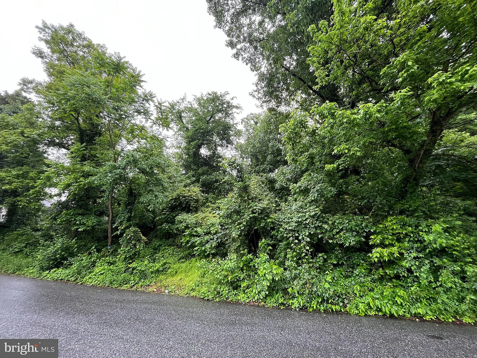 Capitol Heights Blvd photo 1