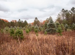 12 Taylor Rd, Erin, NY 14838