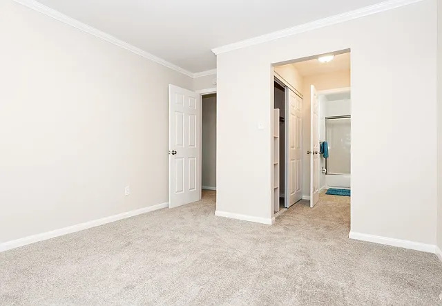 1 Bed 1 Bath